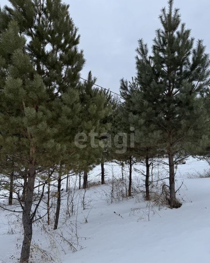 земля р-н Майминский с Озерное ул Калинов Лог 2 Горно-Алтайск фото 8