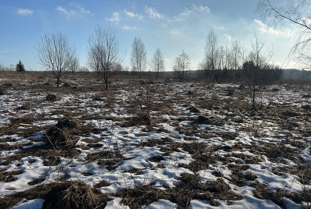 земля р-н Александровский д Корелы муниципальное образование Краснопламенское фото 6