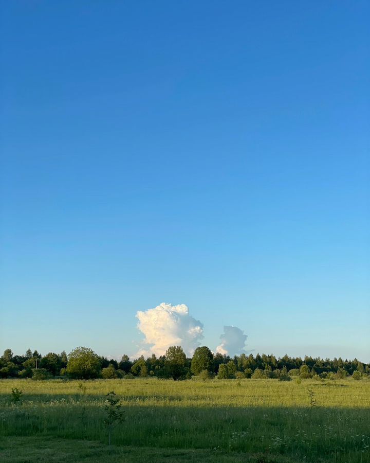 земля р-н Лужский г Луга 49Н-0109, Новгородская обл. фото 1