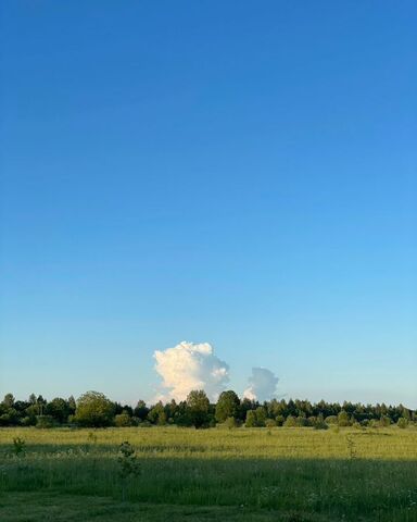 земля г Луга 49Н-0109, Новгородская обл. фото