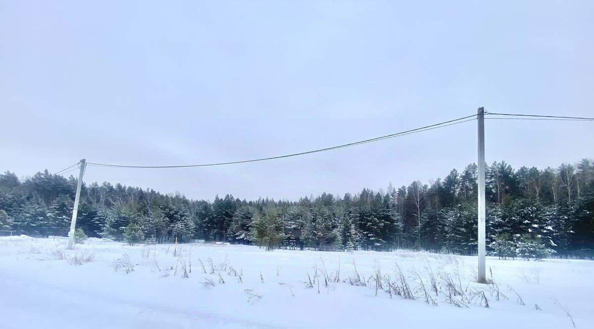 земля р-н Нижнетавдинский с Тюнево ул Урожайная фото 8