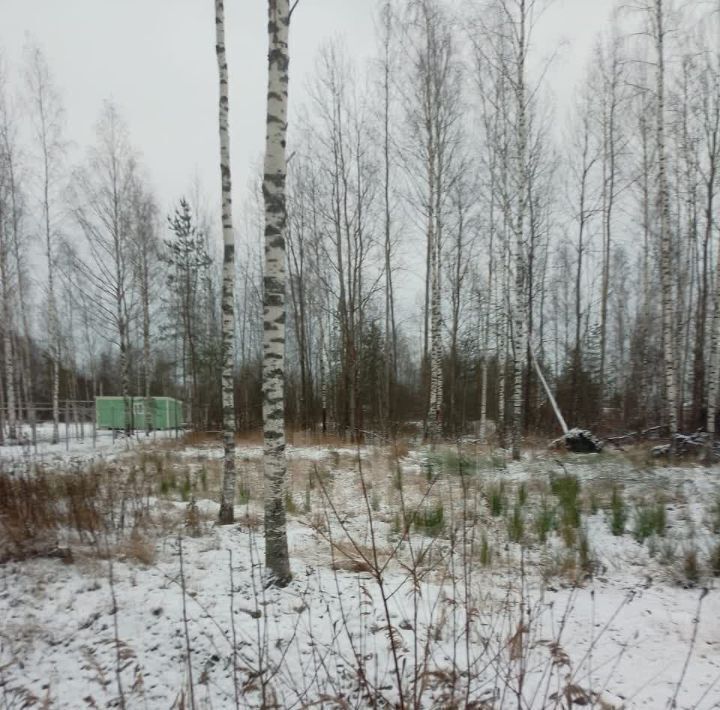 земля р-н Тосненский п Ульяновка Ульяновское городское поселение, Водопад СТСН, проезд Озерный, 4 фото 3