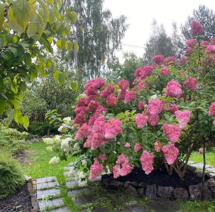 дом р-н Всеволожский Морозовское городское поселение, 139, Энергетик СНТ фото 16