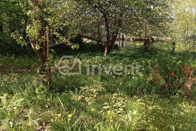 Пионерский городской округ, СМ Южный фото