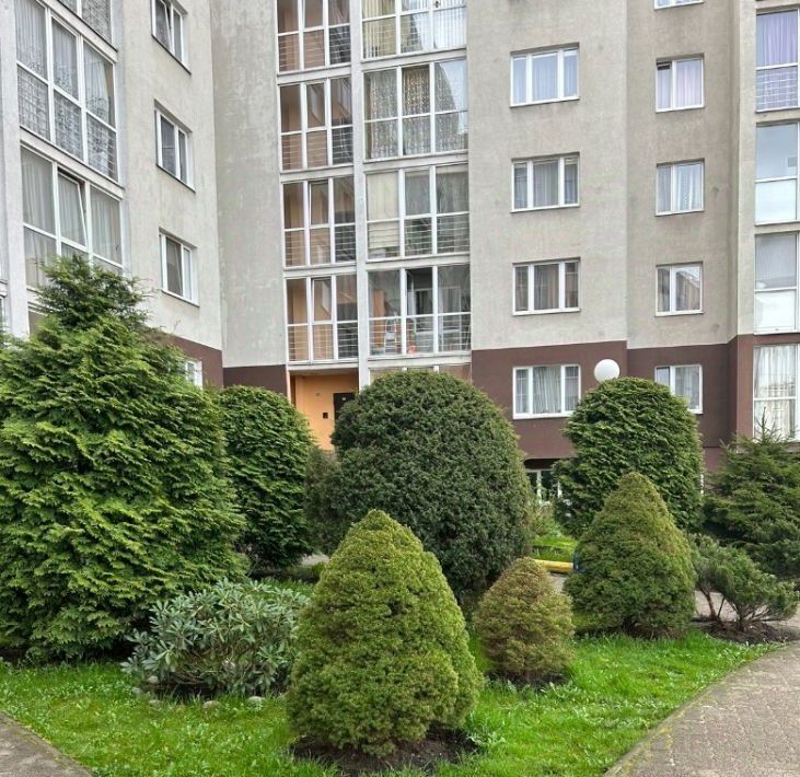 квартира г Калининград р-н Московский ул Дзержинского 96а фото 35