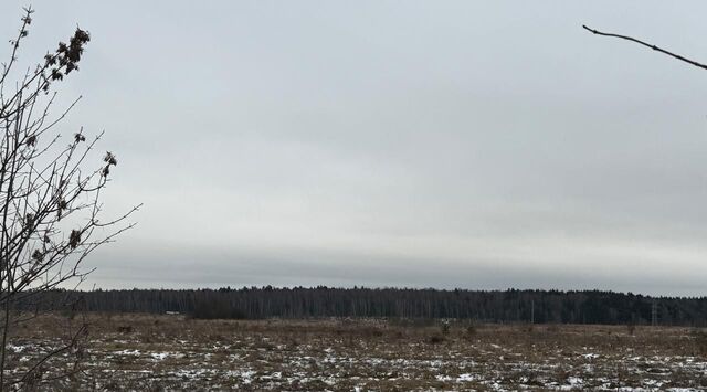 Химки, Старбеево кв-л фото