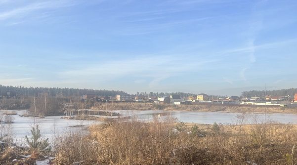 земля городской округ Щёлково д Головино Волынское-2 СНТ фото 9