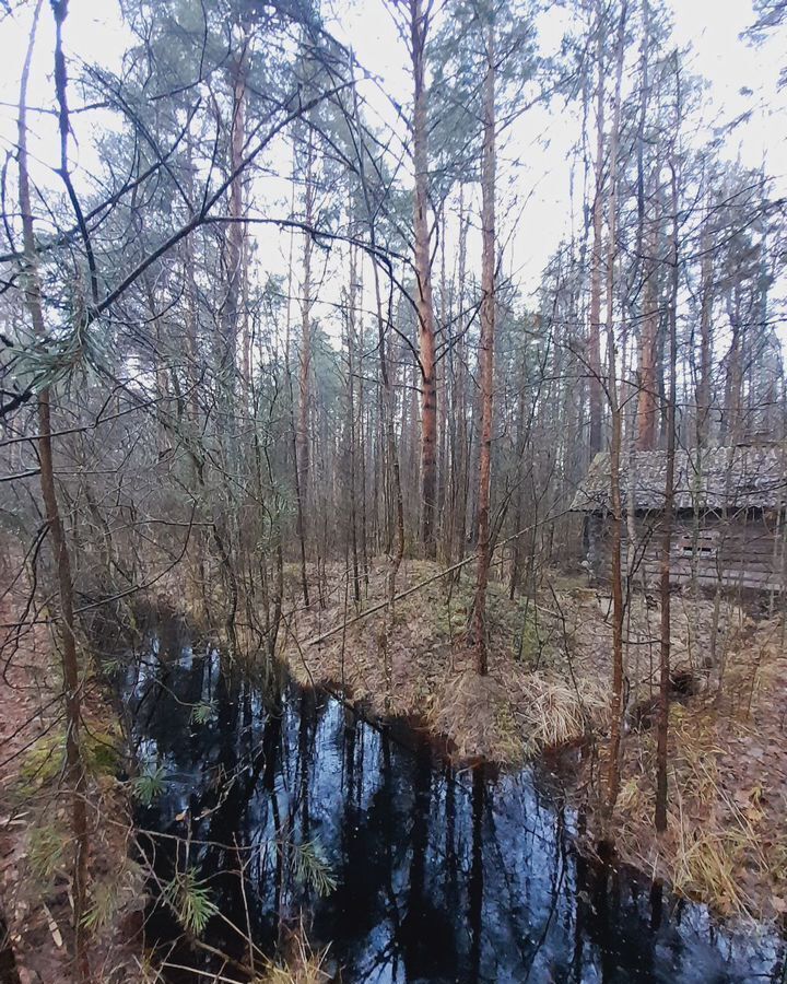 дом р-н Новгородский рп Пролетарий ул Ленинградская 133 Пролетарское городское поселение фото 19