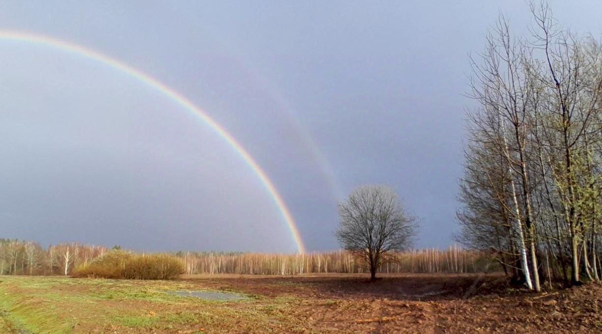 земля городской округ Дмитровский д Удино Лобня фото 5