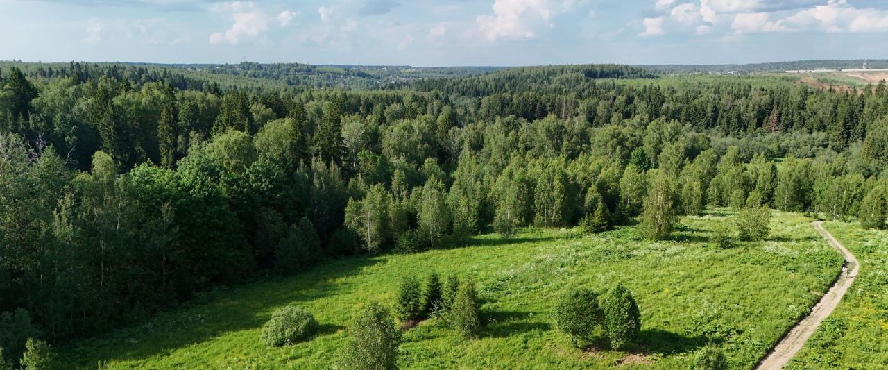 земля городской округ Дмитровский д Удино Лобня фото 6