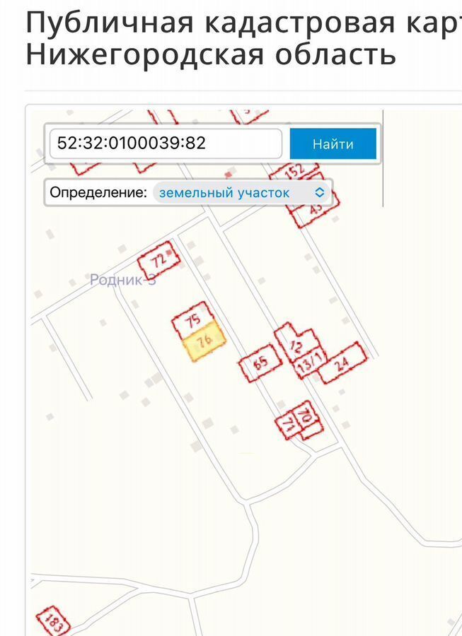 земля р-н Дальнеконстантиновский д Новая Владимировка снт Родник-3 Буревестник фото 1