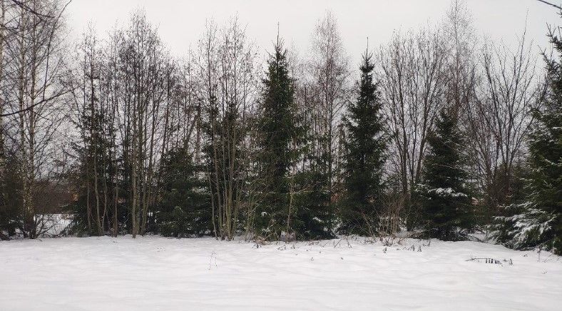 офис городской округ Истра д Котерево фото 1