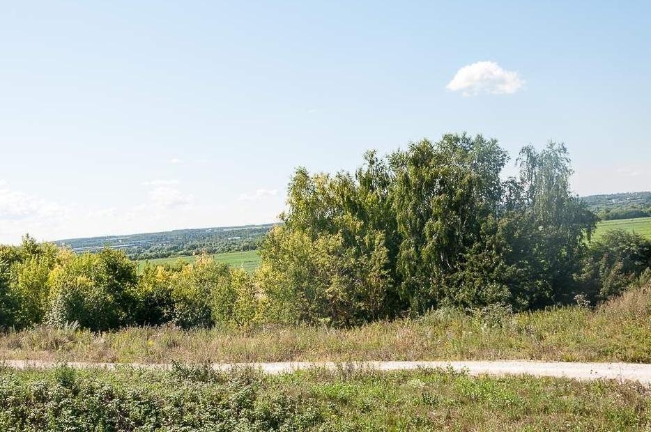 земля городской округ Ступино д Городище Цветочная, Каширское шоссе, Ступино фото 9