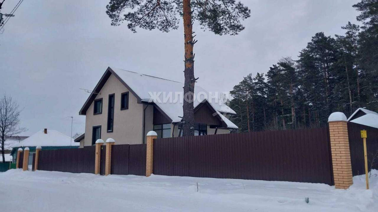 дом р-н Новосибирский с Барышево ул Мичурина Барышевский сельсовет, Орловка фото 1