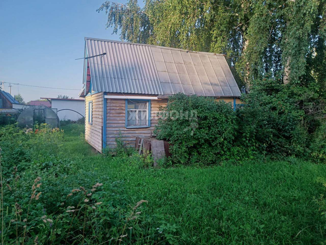 Садоводческое товарищество Колос территория фото