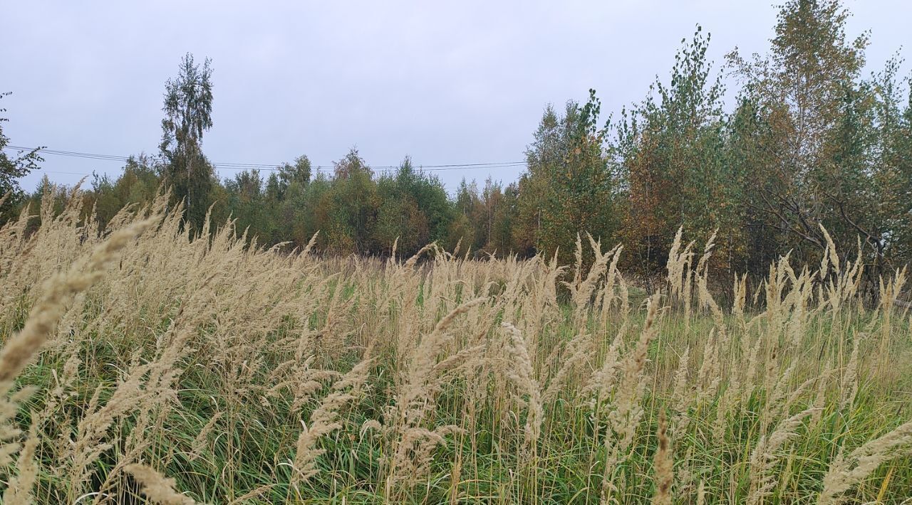 земля городской округ Раменский д Кулаково Кратово фото 1