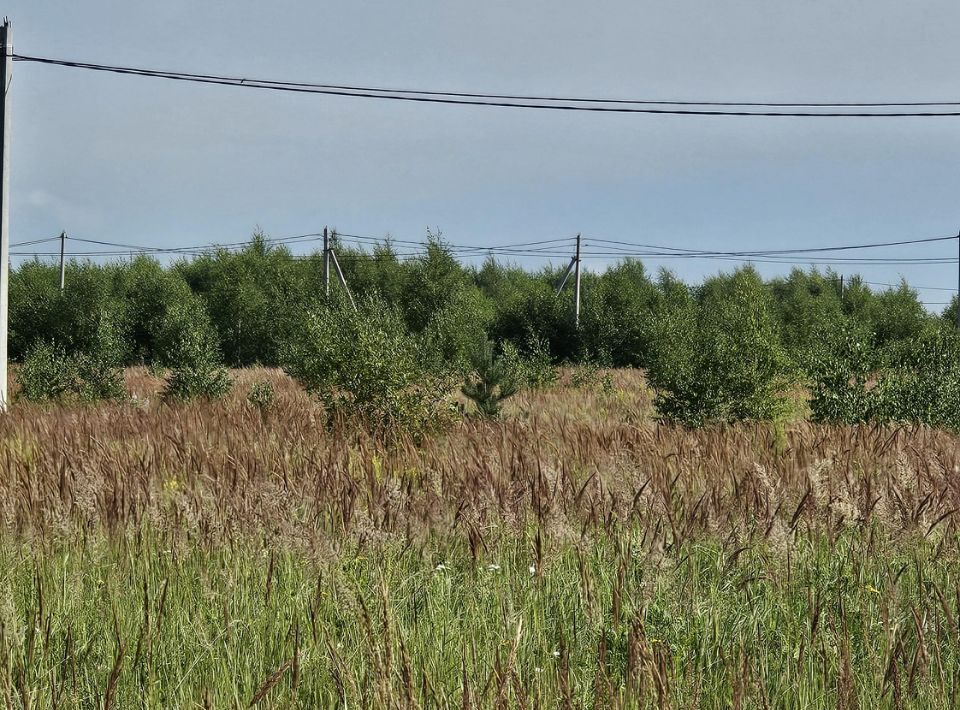 земля городской округ Луховицы п Совхоза Астапово фото 1