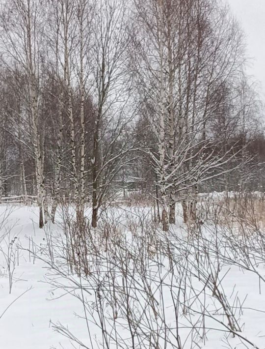 земля городской округ Талдомский г Талдом пл К.Маркса фото 2