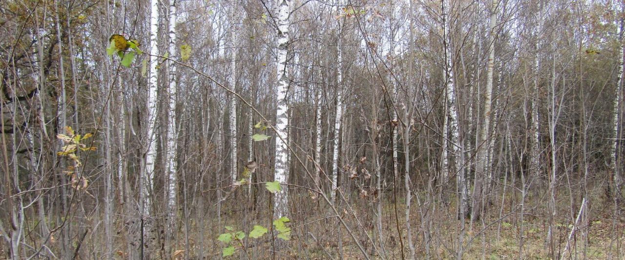 земля городской округ Рузский д Новогорбово фото 1