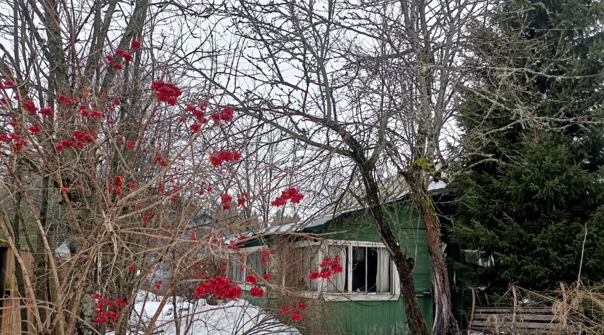 дом городской округ Сергиево-Посадский д Новинки снт Северянин 359 фото 4