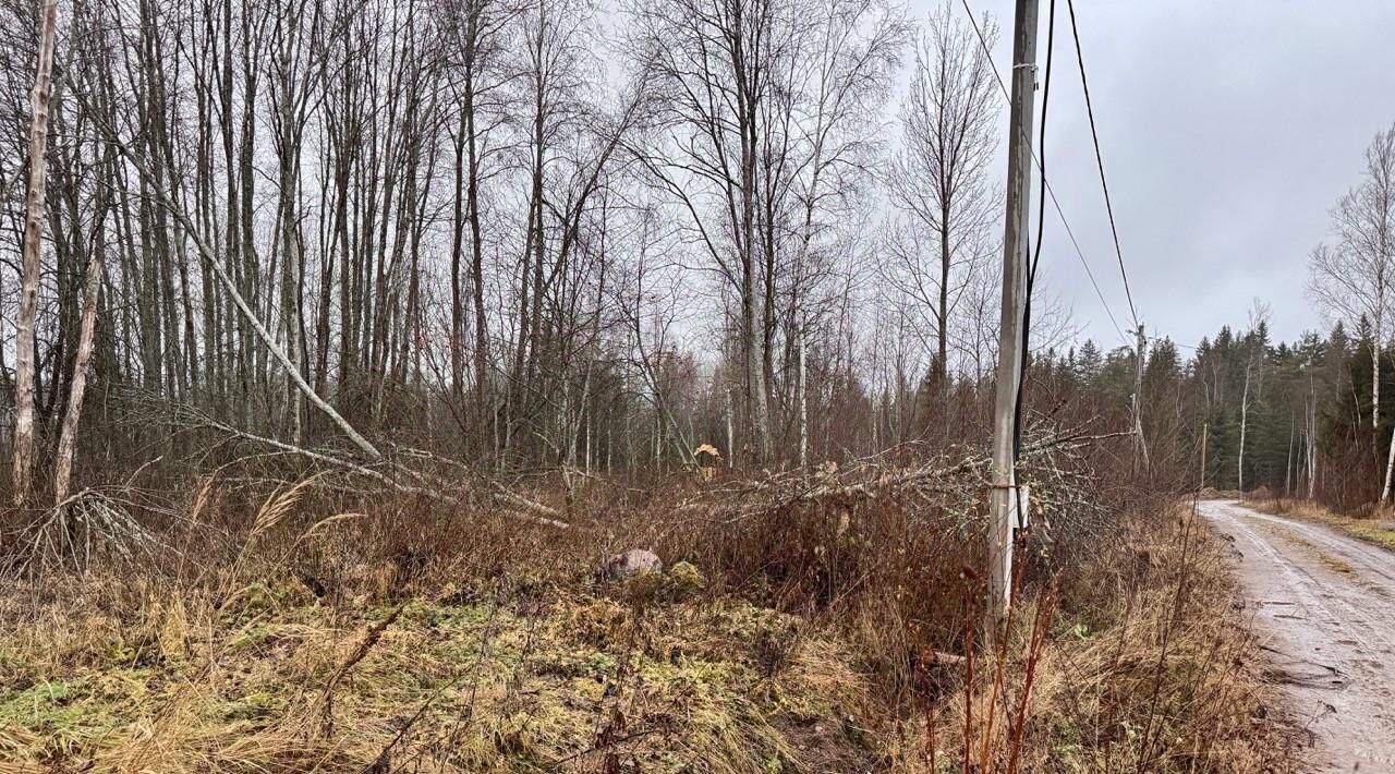 земля р-н Приозерский снт тер.Ромашкинские усадьбы ул Игоря Северянина 10 Ромашкинское с/пос фото 30