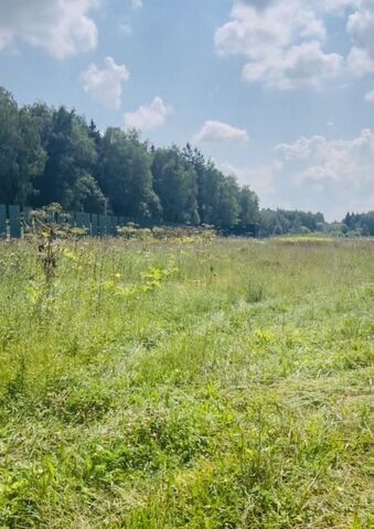 направление Курское (юг) ш Калужское 21 км, Краснопахорский р-н, ДНП Европейская Долина-2, 1-й Двинский пер, Москва, Троицк, Троицкий административный округ фото