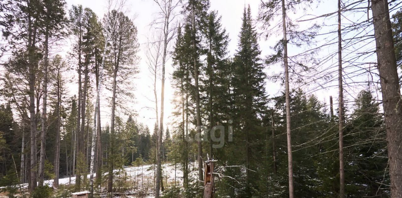 дом р-н Томский п Трубачево ул Зеленая 17 фото 6