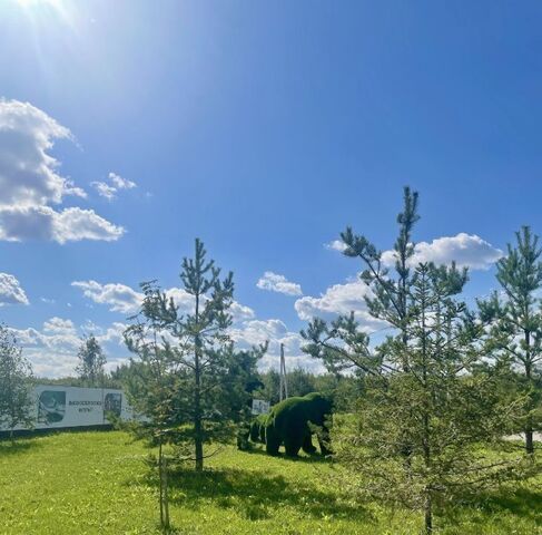 городской округ Раменский Фенино Лесное кп фото