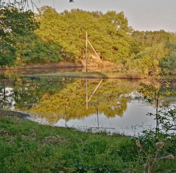 дом р-н Новгородский рп Панковка Панковское городское поселение фото 34