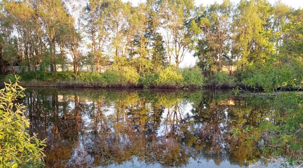 дом р-н Новгородский рп Панковка Панковское городское поселение фото 36