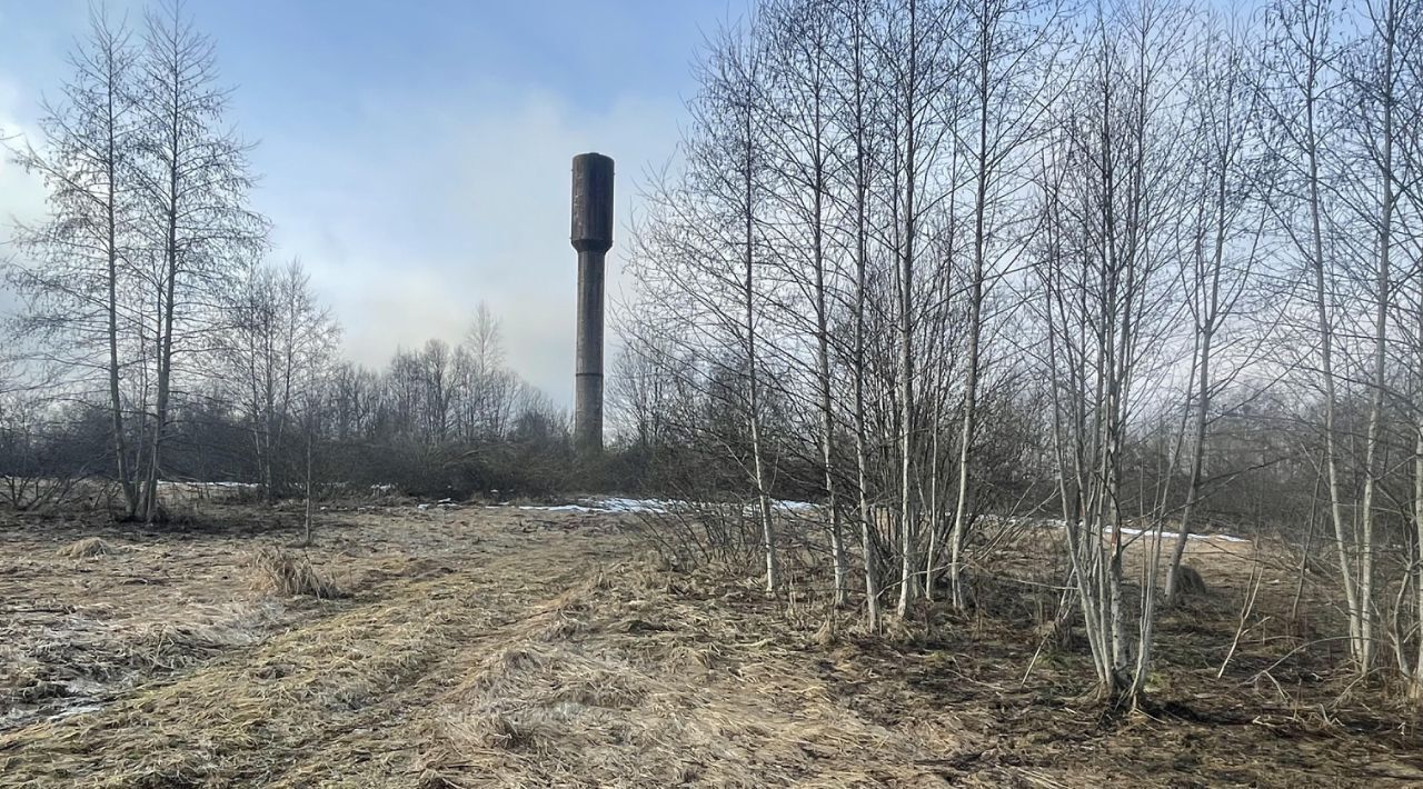 земля р-н Зубцовский с Погорелое Городище фото 19