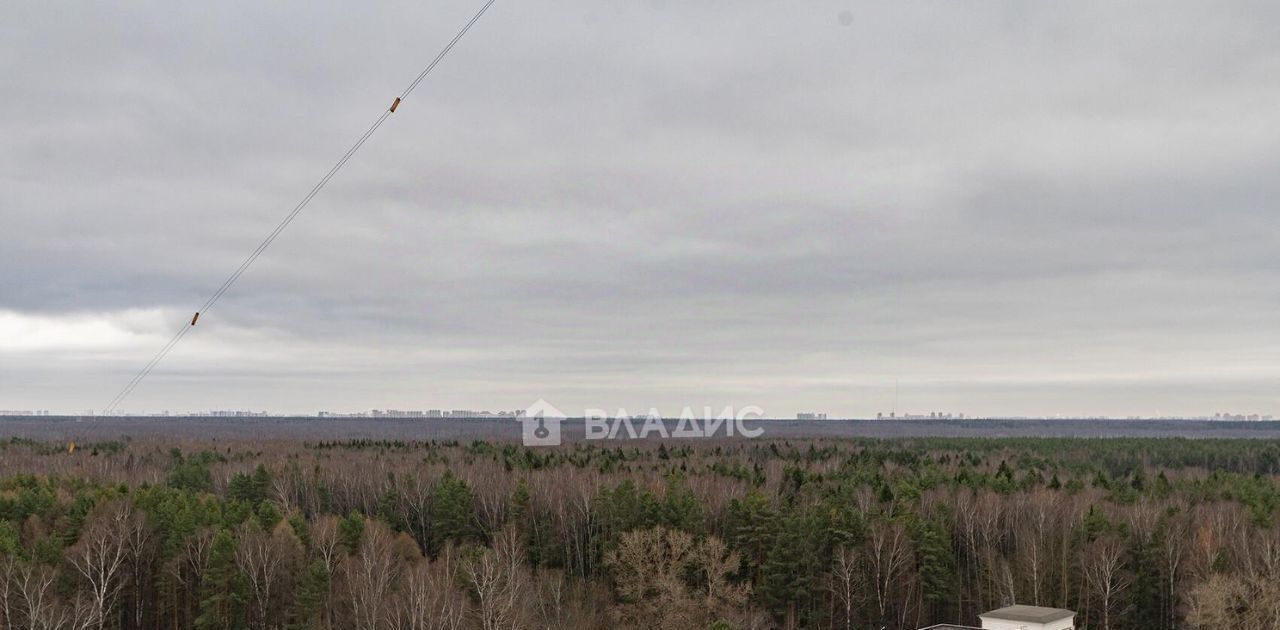 квартира г Москва метро Щелковская ул Мичурина 21 Московская область, Королев фото 17