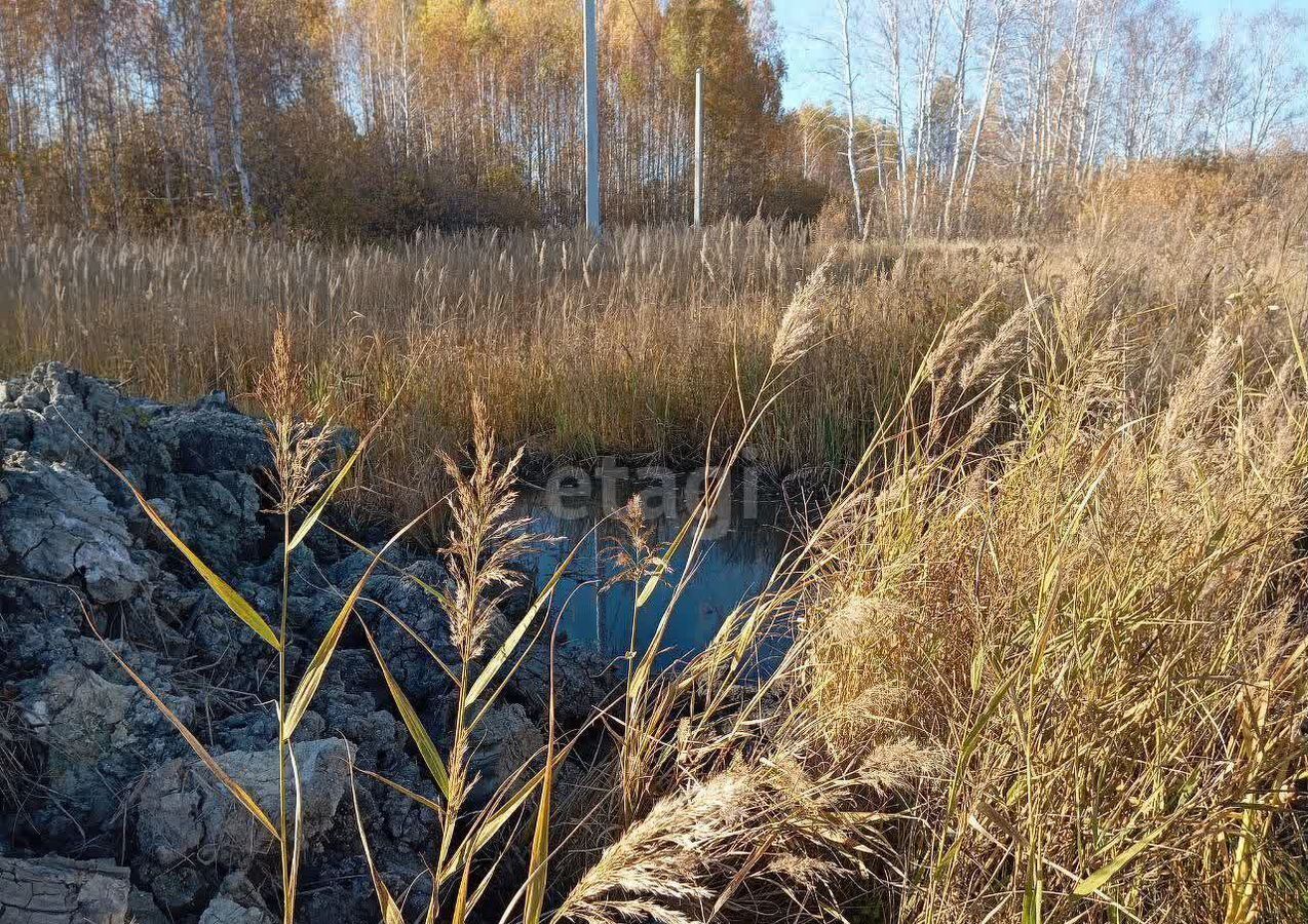 земля р-н Сосновский с Кременкуль Кременкульское сельское поселение, коттеджный пос. Зелёный Мыс, Лучистый пер, Челябинск фото 7