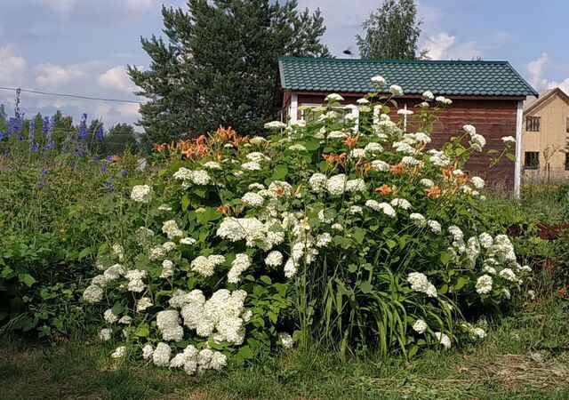 п Астапово Новорязанское шоссе, 10 км, Рязанская область, Рыбное фото