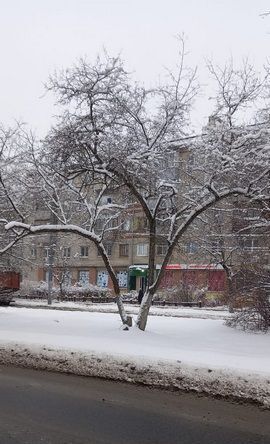 торговое помещение р-н Автозаводский ул Лескова 56 фото