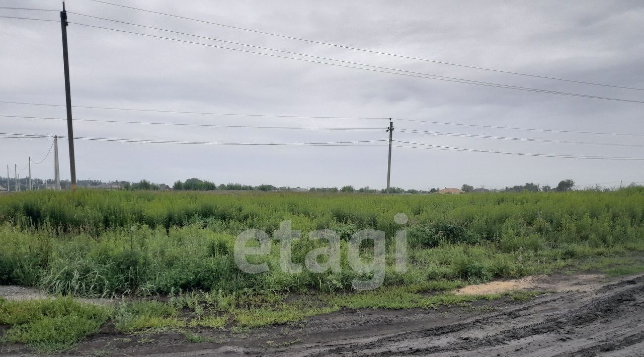 земля р-н Брянский с Толмачево ул Слободская пос, Снежское с фото 1