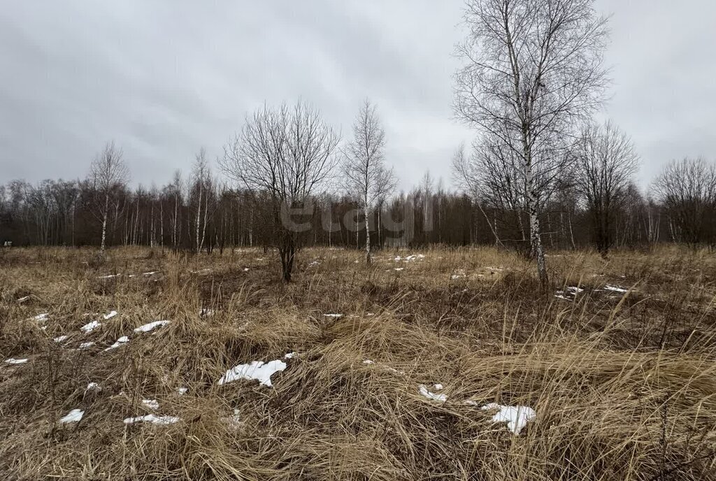 земля р-н Ленинский д Сергеево городской округ Тула фото 1