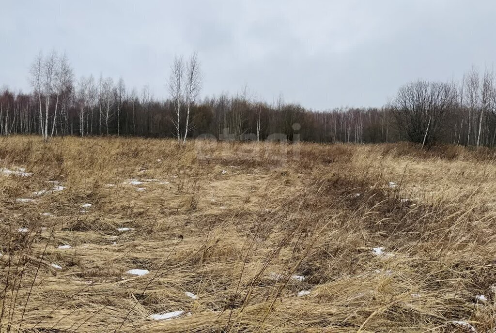 земля р-н Ленинский д Сергеево городской округ Тула фото 16