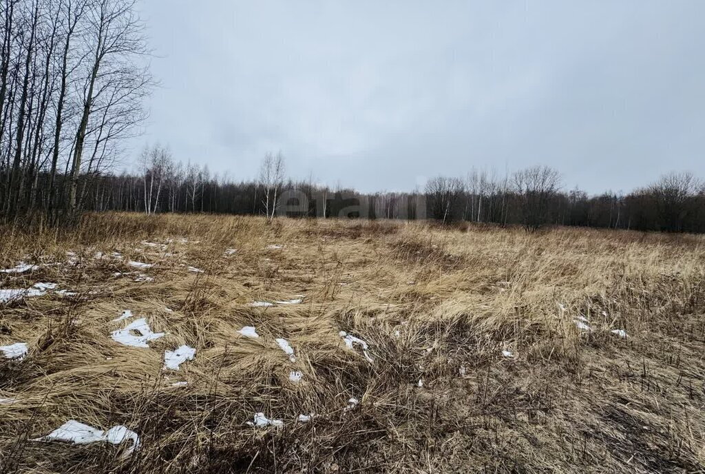 земля р-н Ленинский д Сергеево городской округ Тула фото 9