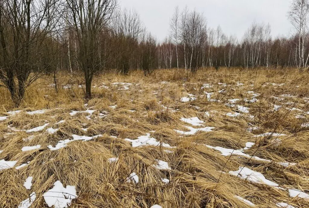 земля р-н Ленинский д Сергеево городской округ Тула фото 14