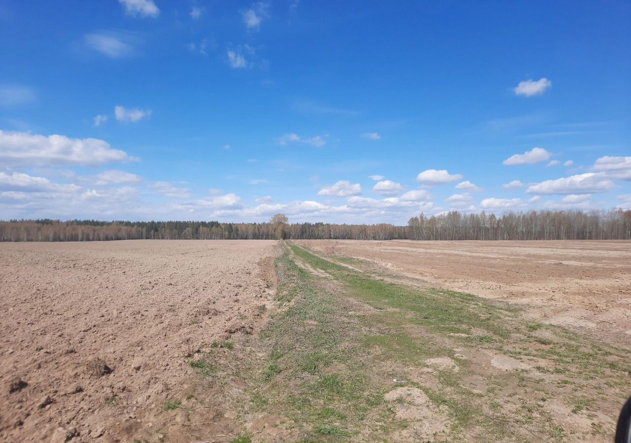 земля р-н Городецкий г Городец д. Терентьево фото 2