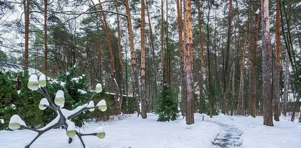 дом городской округ Одинцовский п Николина Гора Одинцово фото 3