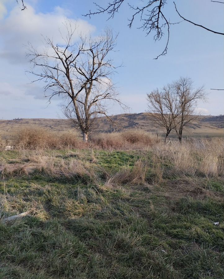 земля р-н Грачевский с Старомарьевка ул Ставропольская 75 фото 2