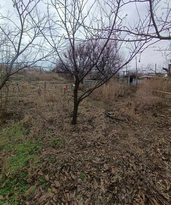 земля р-н Среднеахтубинский п Куйбышев ул Школьная фото 11