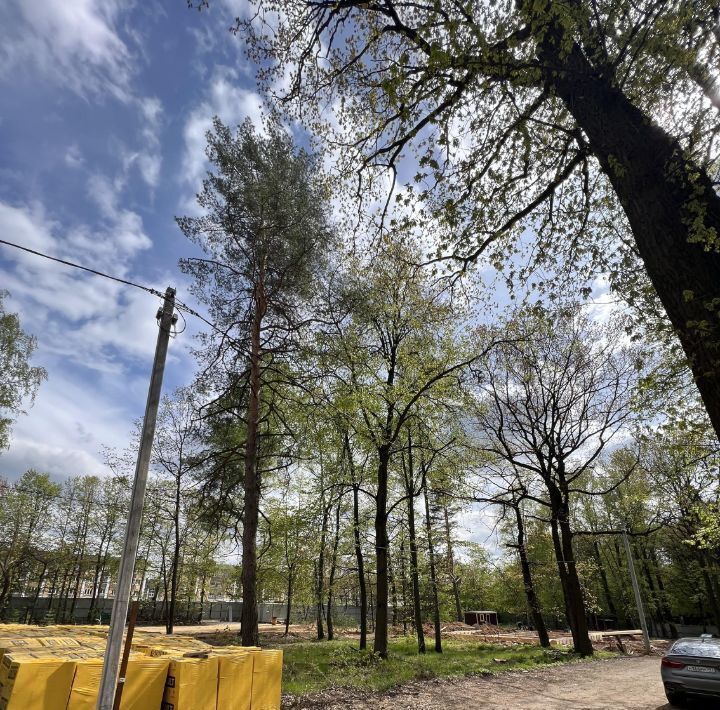 земля г Зеленоград микрорайон Болшево метро Медведково Московская область, Королев фото 10