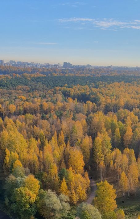 квартира г Санкт-Петербург метро Проспект Просвещения наб Реки Каменки 15к/1 ЖК «Friends» округ Коломяги фото 15