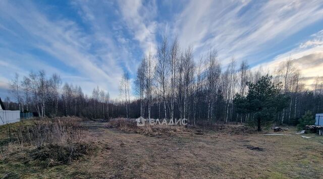 земля р-н Октябрьский Лунево фото