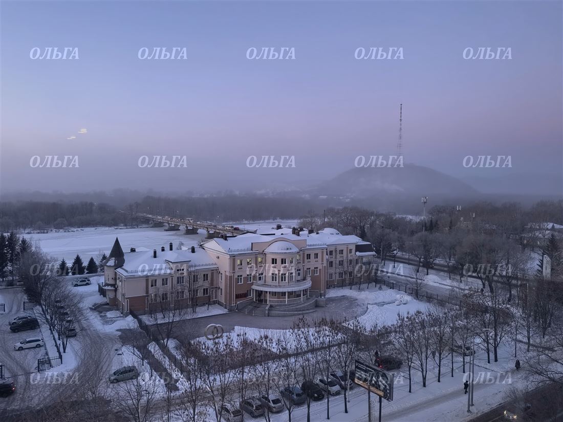 квартира г Биробиджан пр-кт 60-летия СССР 11 фото 1