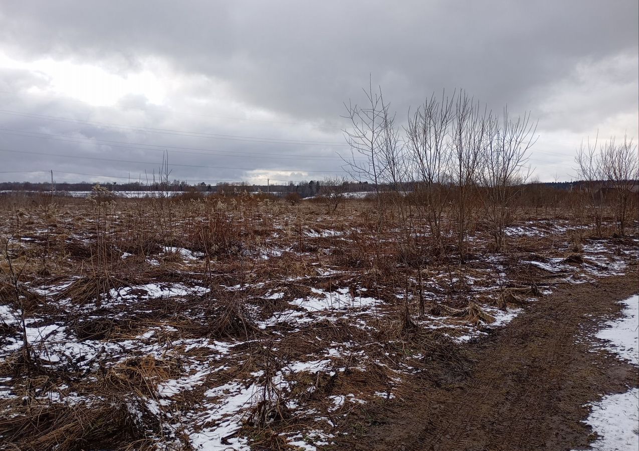 земля городской округ Солнечногорск 51 км, коттеджный пос. Мошницы Лайф, Пятницкое шоссе фото 12