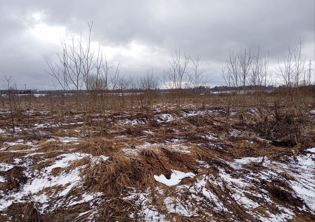 земля городской округ Солнечногорск 51 км, коттеджный пос. Мошницы Лайф, Пятницкое шоссе фото 17